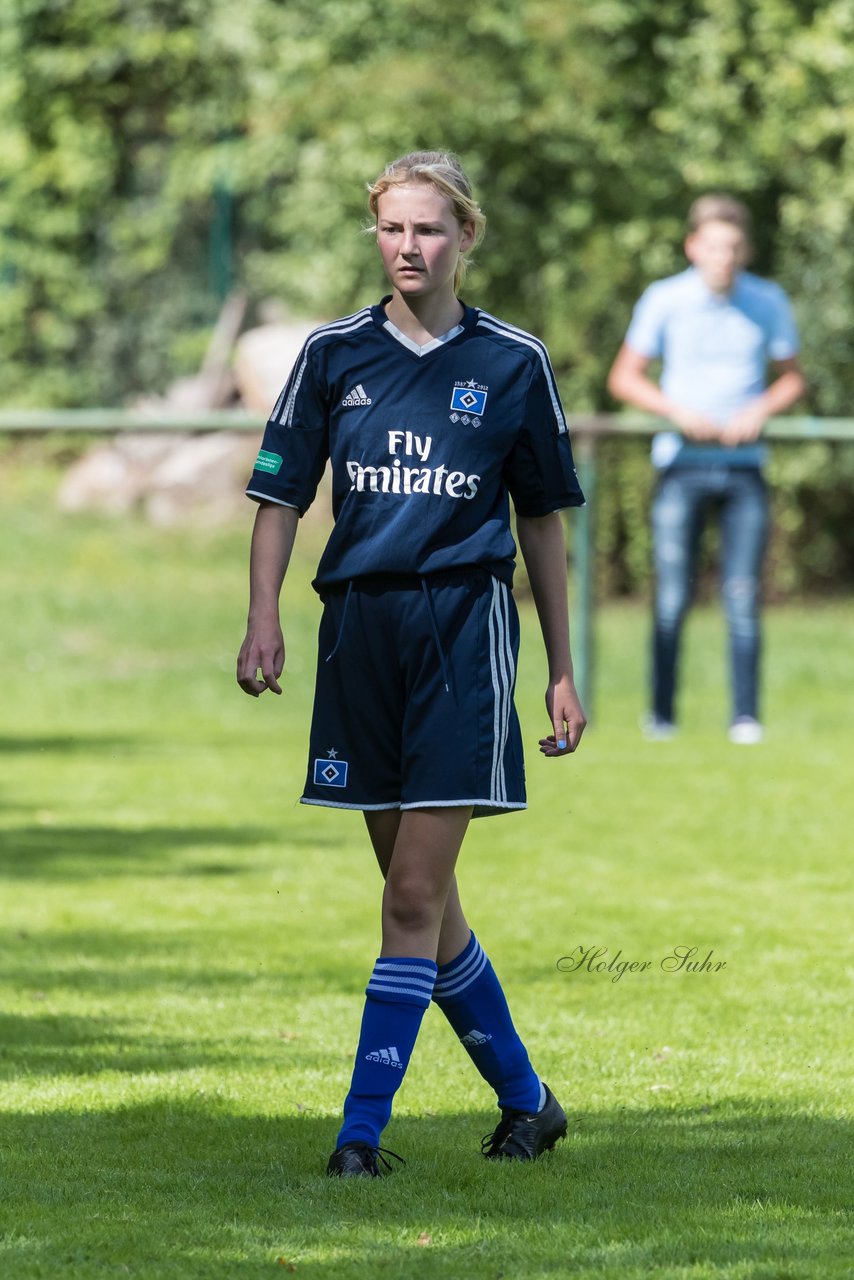 Bild 222 - B-Juniorinnen VfL Pinneberg - HSV : Ergebnis: 1:4